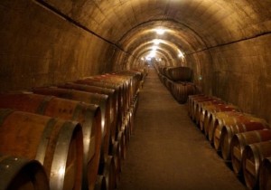 История мускатных вин